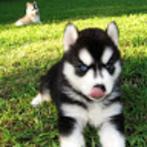 Meet your Posher, Kristina